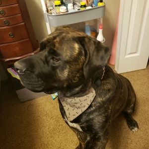 Meet your Posher, Krystal